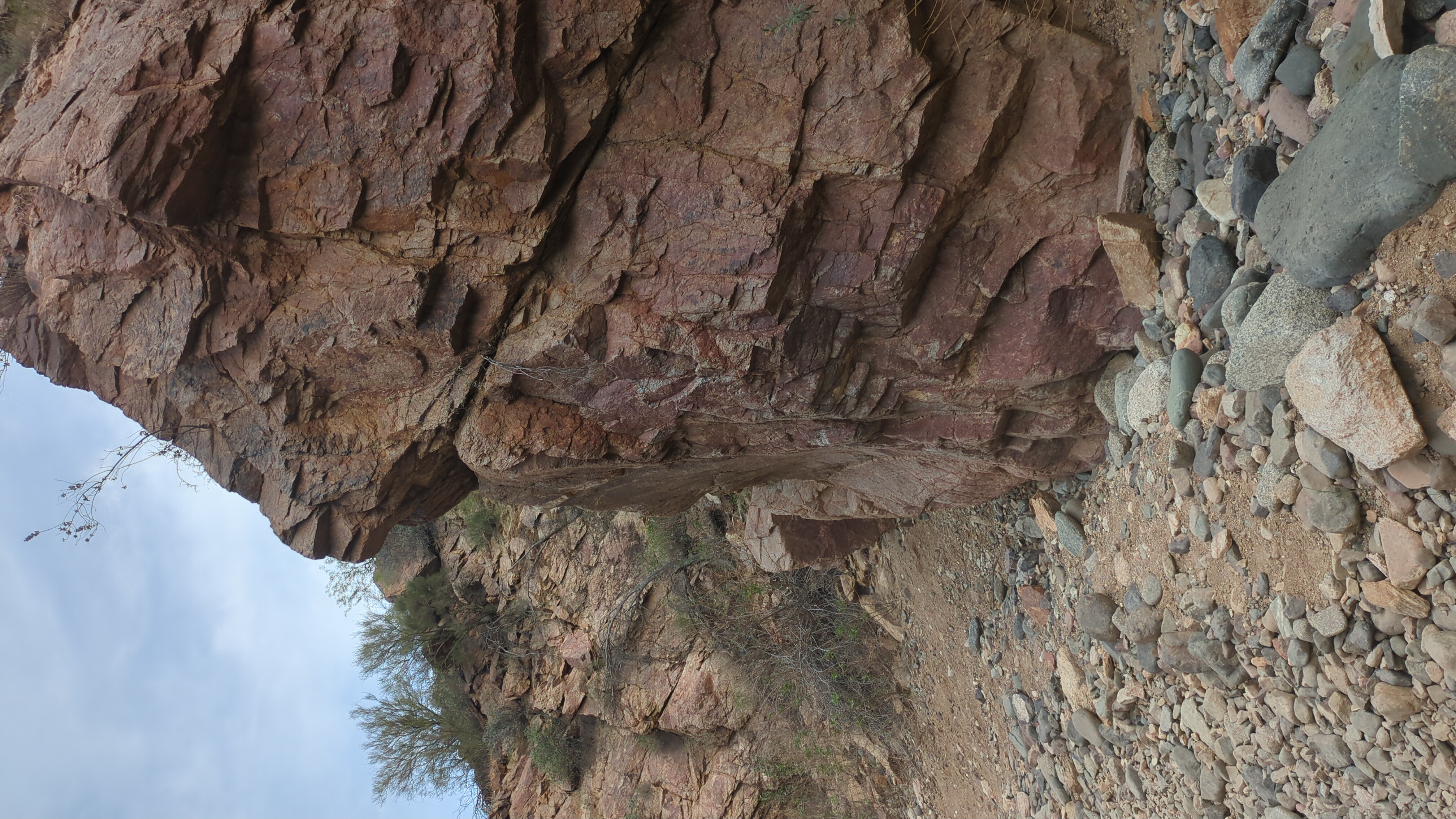 IMG_20250326_145341_166